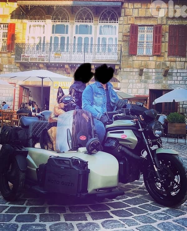 Moto Guzzi / Griso - 1200 cc - Sidecar 6