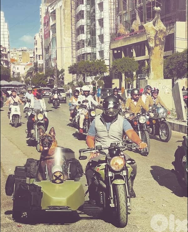 Moto Guzzi / Griso - 1200 cc - Sidecar 8