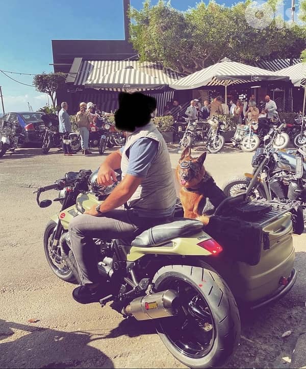 Moto Guzzi / Griso - 1200 cc - Sidecar 9