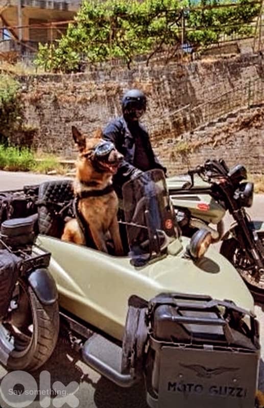 Moto Guzzi / Griso - 1200 cc - Sidecar 10