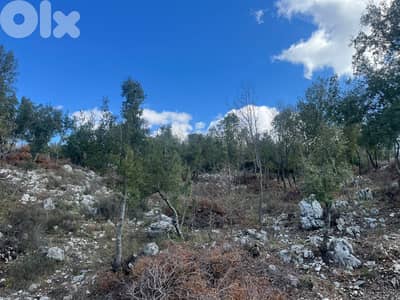 LAND For SALE in St Stephano Kfardebian with View أرض في كفردبيان