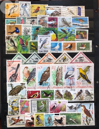 Birds stamps