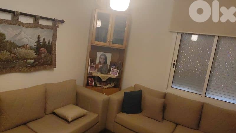 Living/sitting Room with cabinets 2