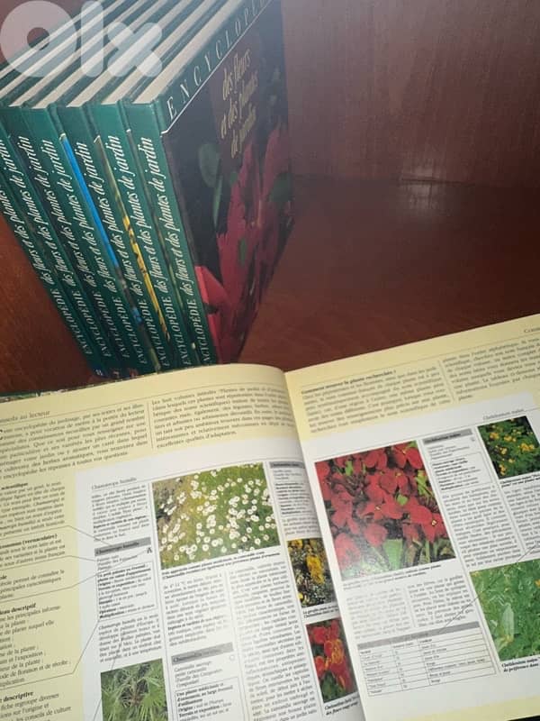 encyclopedia 2