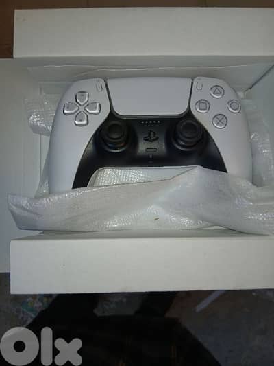 PS5 controll