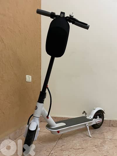 electric scooter