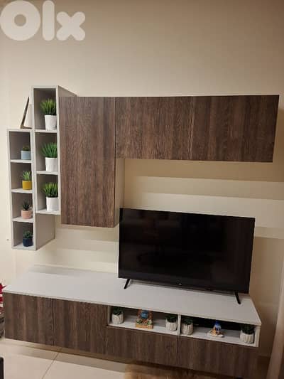 TV unit 250$