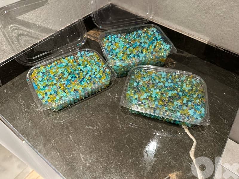 Orby‘s I can do it in 20 1