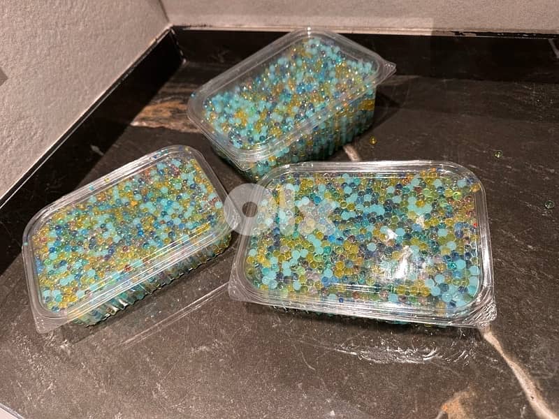 Orby‘s I can do it in 20 2