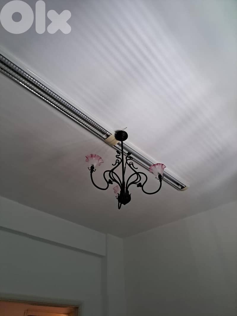 Unique opportunity to 10 February 11