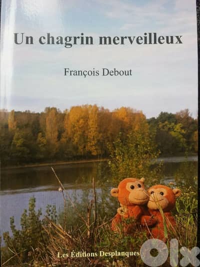 Un chagrin merveilleux