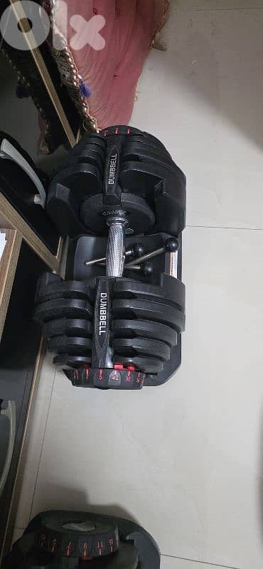 Adjustabl Dumbbels + Bench 1
