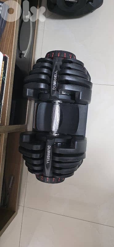 Adjustabl Dumbbels + Bench 2