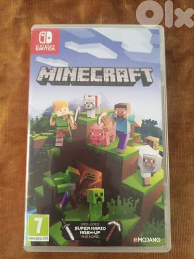Minecraft Nintendo switch card