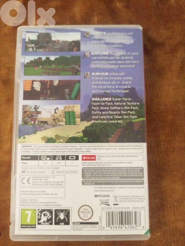 Minecraft Nintendo switch card 1