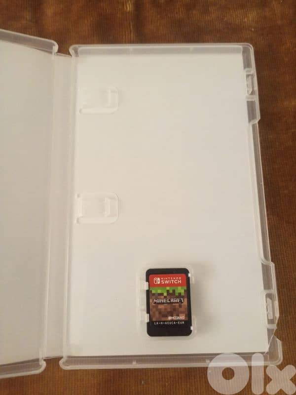 Minecraft Nintendo switch card 2