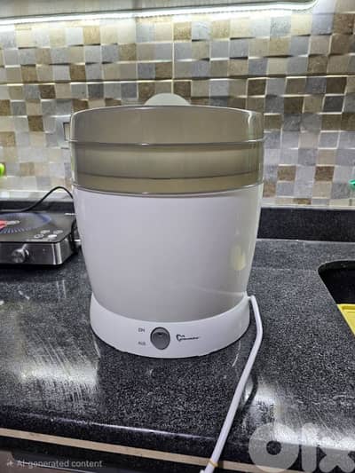 Electric steam sterilizers for baby bottles