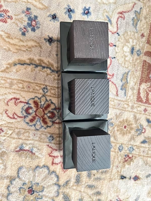 Encre noir perfume 1