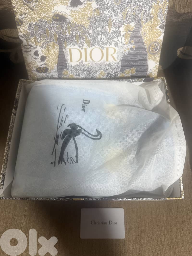 Christian dior bag 2