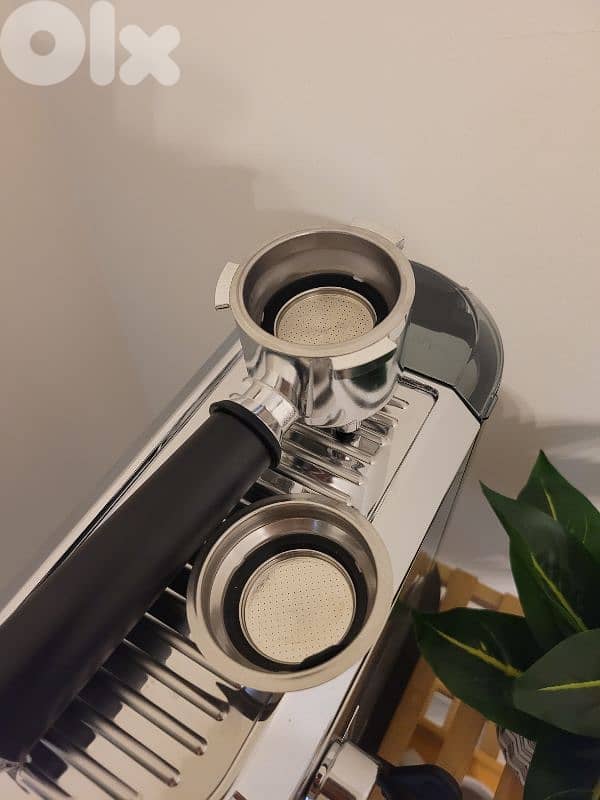 delonghi dedica brand new 2