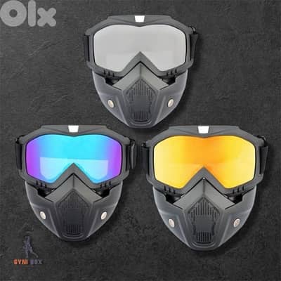 ski mask /goggle wind