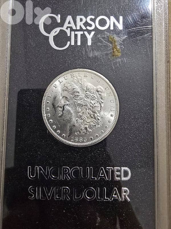 silver Morgan dollar 1