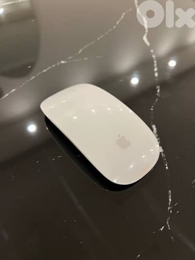 Apple Magic Mouse 2