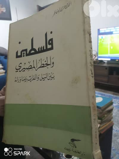 فلسطين والخطر المصيري