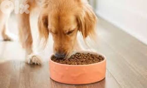 dog food european brand 20kgs bag