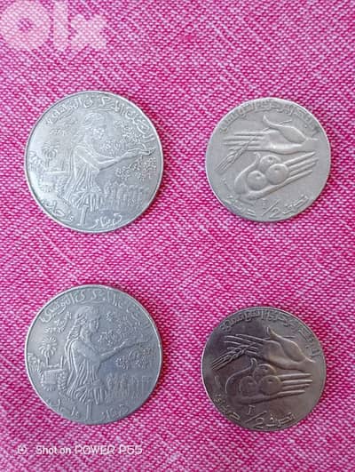 زلقا المتن الشمالي