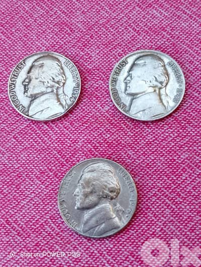 زلقا المتن الشمالي