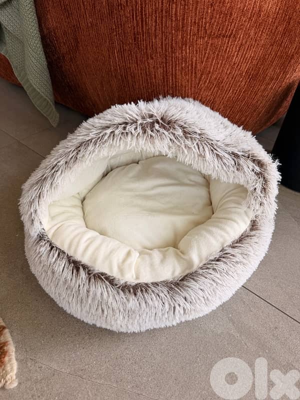 bed for cats 1