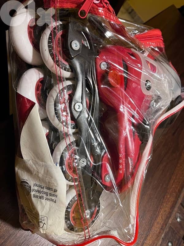 Rollers (size 34-37) (Brand new) 2