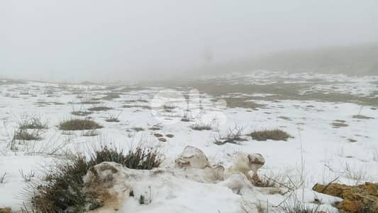 أرض للبيع في عين داره land for sale in Ayn dara aley