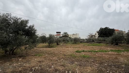 RWB332CA - Land for sale in Amchit jbeil