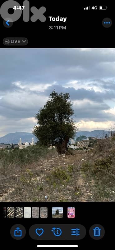 Land for sale in Zibdine Nabatiye أرض للبيع زبدين النبطية