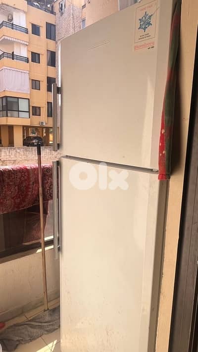 blomberg refrigerator