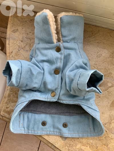 levis jeans fur jacket for all small breeds
