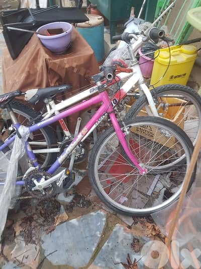 البقاع شمسطار قرب البلديه