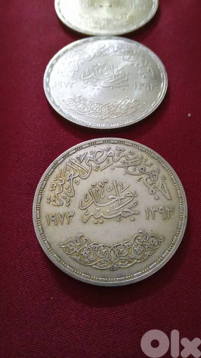 جنيه مصري  فضة  سعر الواحد 100 دولار