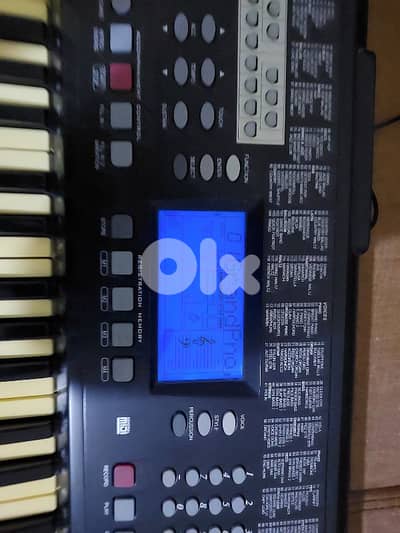 اورج شرقي غربي