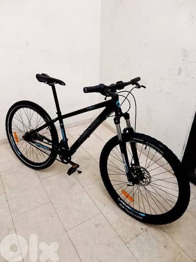 بسكليت اوروبي