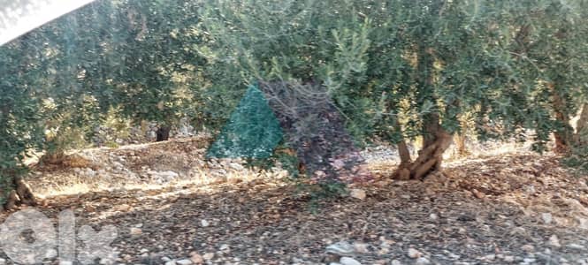 Prime 2235 m2 land 4 sale in Kfarsaroun - Koura - أرض للبيع في الكورة