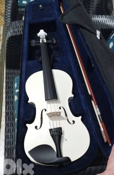 violin