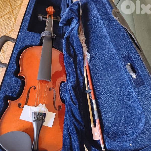 violin 5