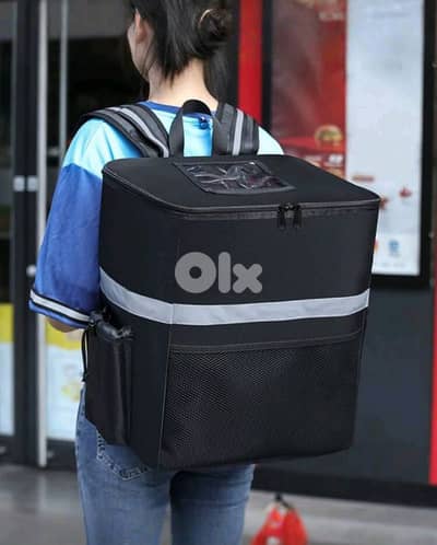 Delivery Bag - 2 available