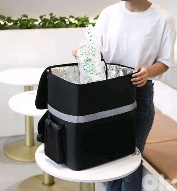 Delivery Bag - 2 available 5