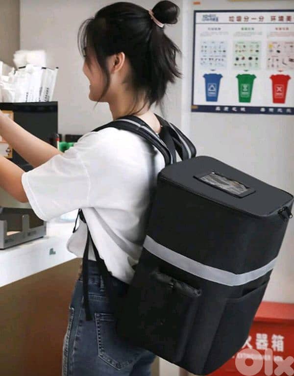 Delivery Bag - 2 available 6