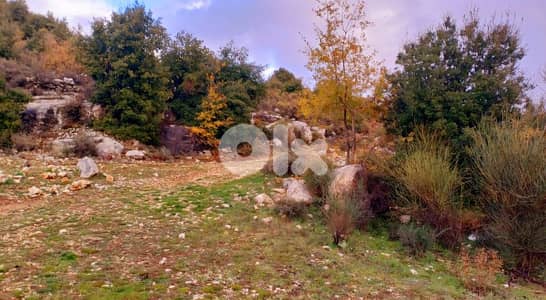 lands for sale in Bchaaleh أرض للبيع في بشعلة