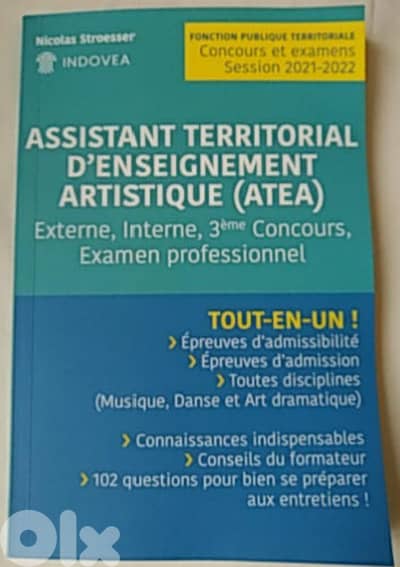 ASSISTANT TERRITORIAL D'ENSEIGNEMENT ARTISTIQUE (ATEA